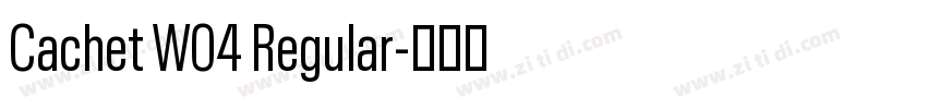 Cachet W04 Regular字体转换
